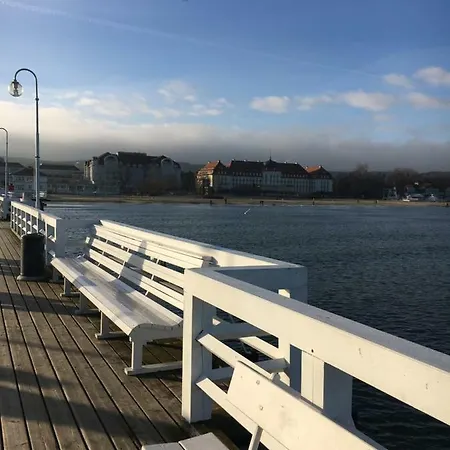 Forest - Parking - Aquapark Sopot