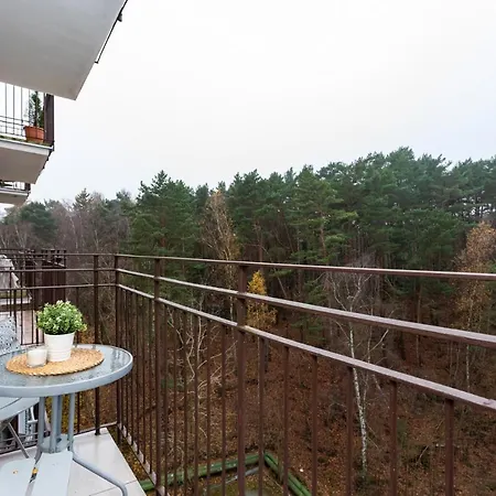 Forest - Parking - Aquapark