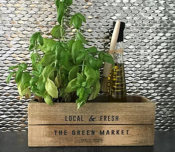 Forest - Parking - Aquapark Sopot