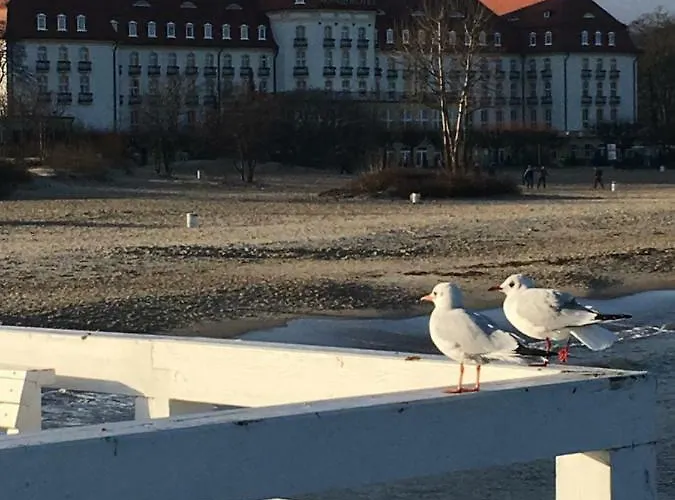 Daire Forest - Parking - Aquapark *