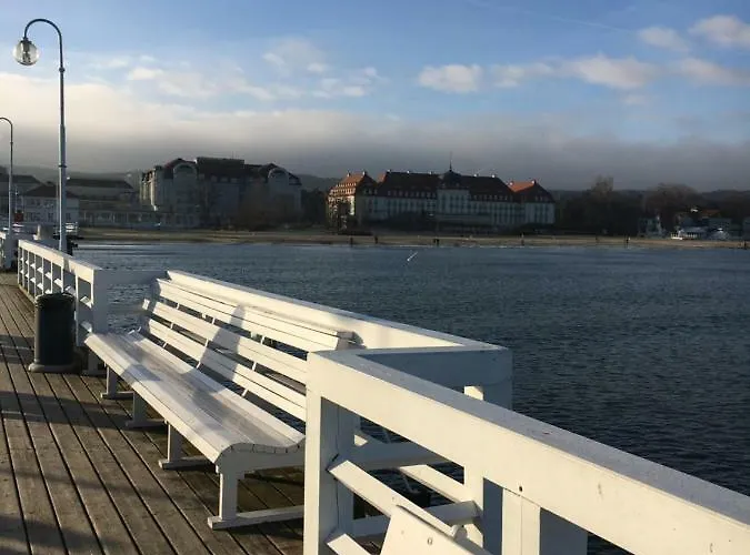 Forest - Parking - Aquapark Sopot
