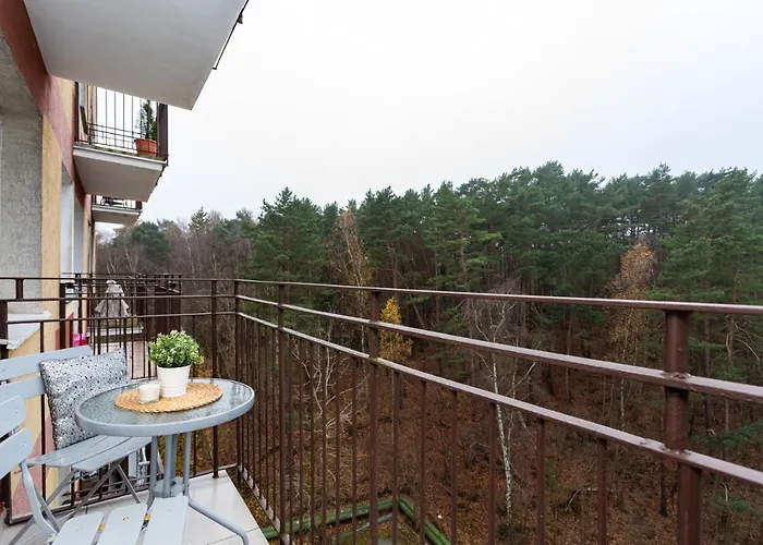 Forest - Parking - Aquapark